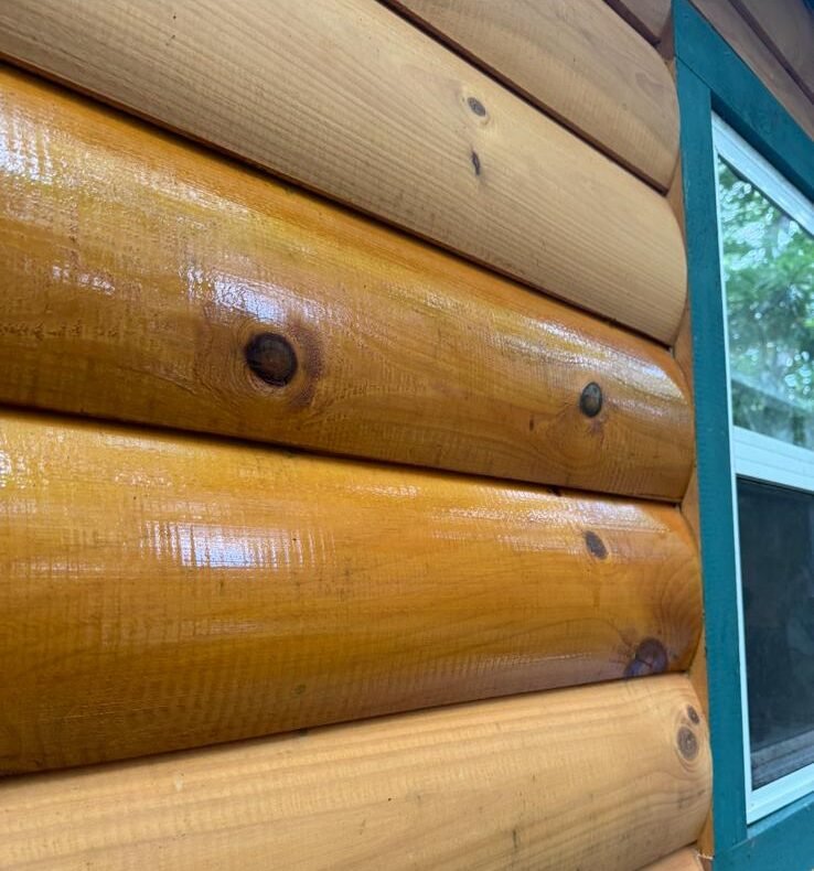 WhatsApp Image 2025-10-20 at 6.17